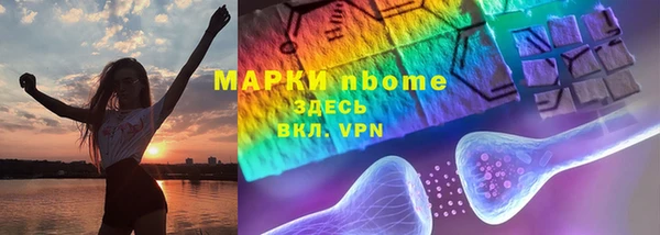 трава Няндома
