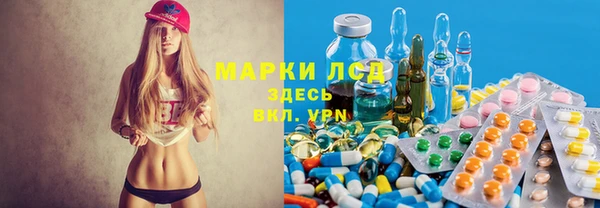 трава Няндома
