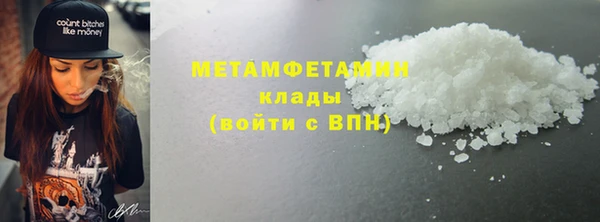 трава Няндома